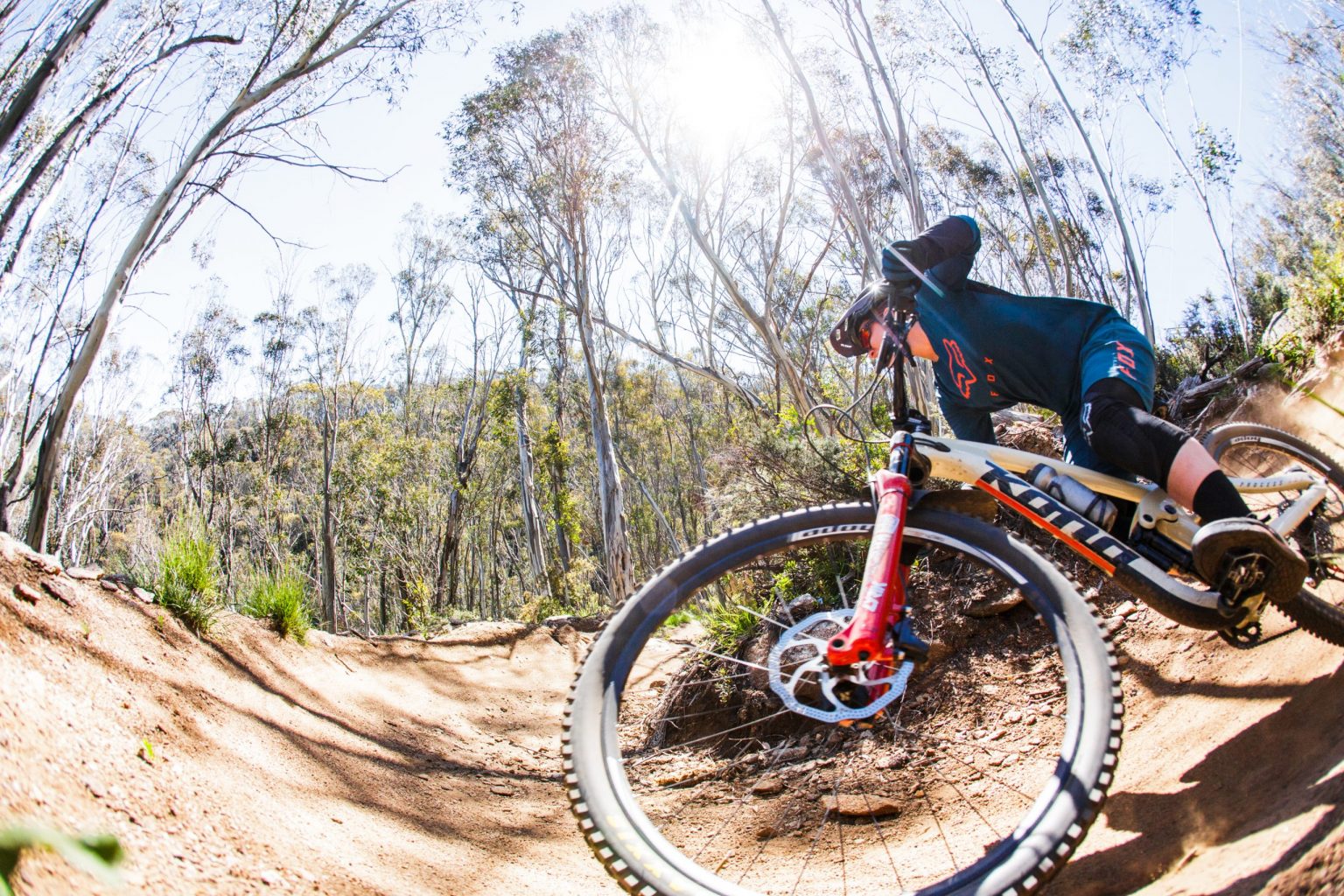 Thredbo Summer 2021-22 Mountain Biking Information