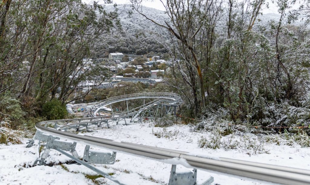 Thredbo's Alpine Coaster is now open