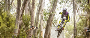 Your Ultimate Summer Guide to Thredbo, Boali Lodge