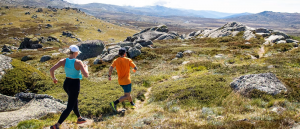 Your Ultimate Summer Guide to Thredbo, Boali Lodge